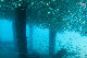 Tioman-IMG_1619.jpg