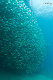 Tioman-IMG_1629.jpg