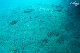 Tioman-IMG_1633.jpg
