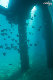 Tioman-IMG_1638.jpg