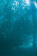 Tioman-IMG_1647.jpg