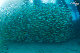 Tioman-IMG_1675.jpg