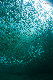 Tioman-IMG_1684.jpg