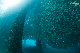 Tioman-IMG_1703.jpg